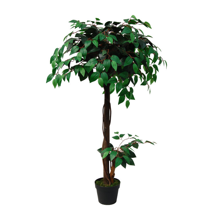 Ficus Benjamini artificiale DAKU, tronchi naturali, verde-bianco, 120cm